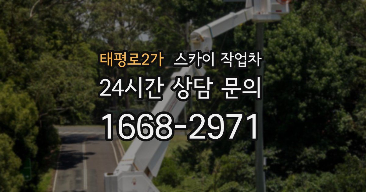 태평로2가 스카이 작업차