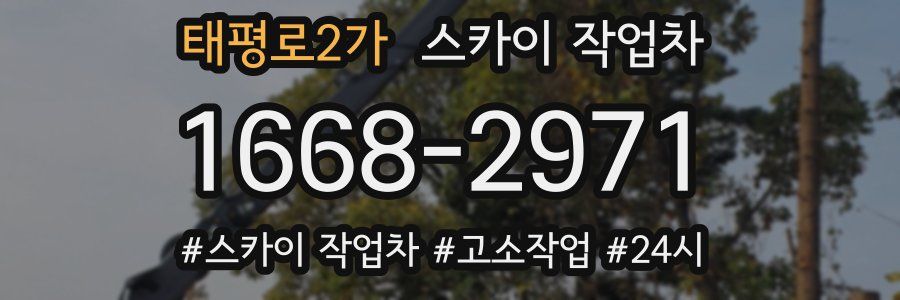 태평로2가 스카이 작업차