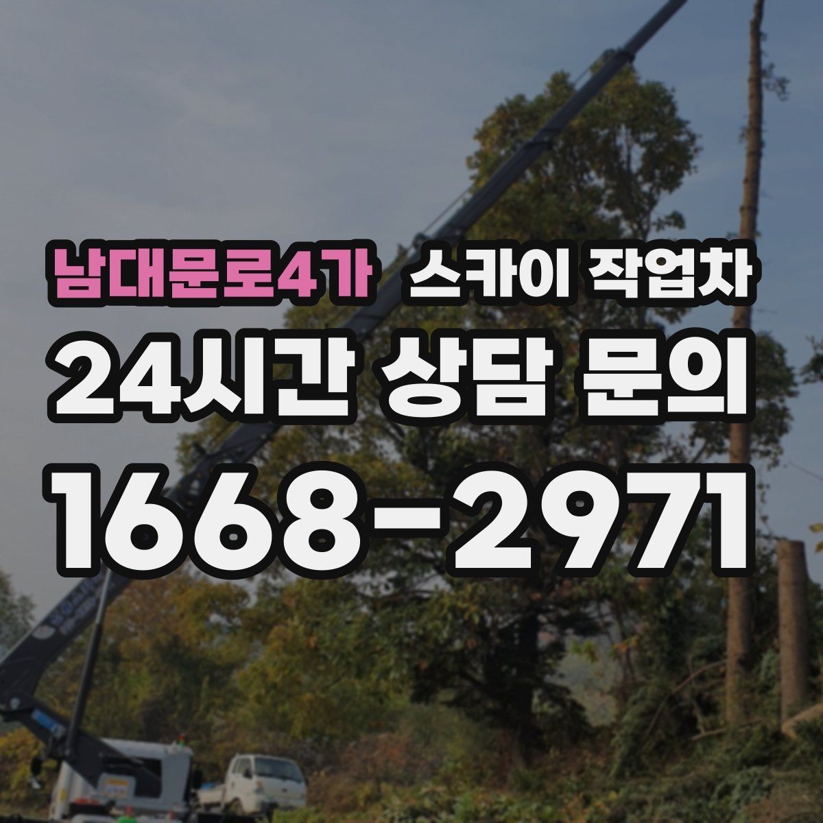 남대문로4가 스카이 작업차 나무 가지 전정 작업에 활용하는 방법