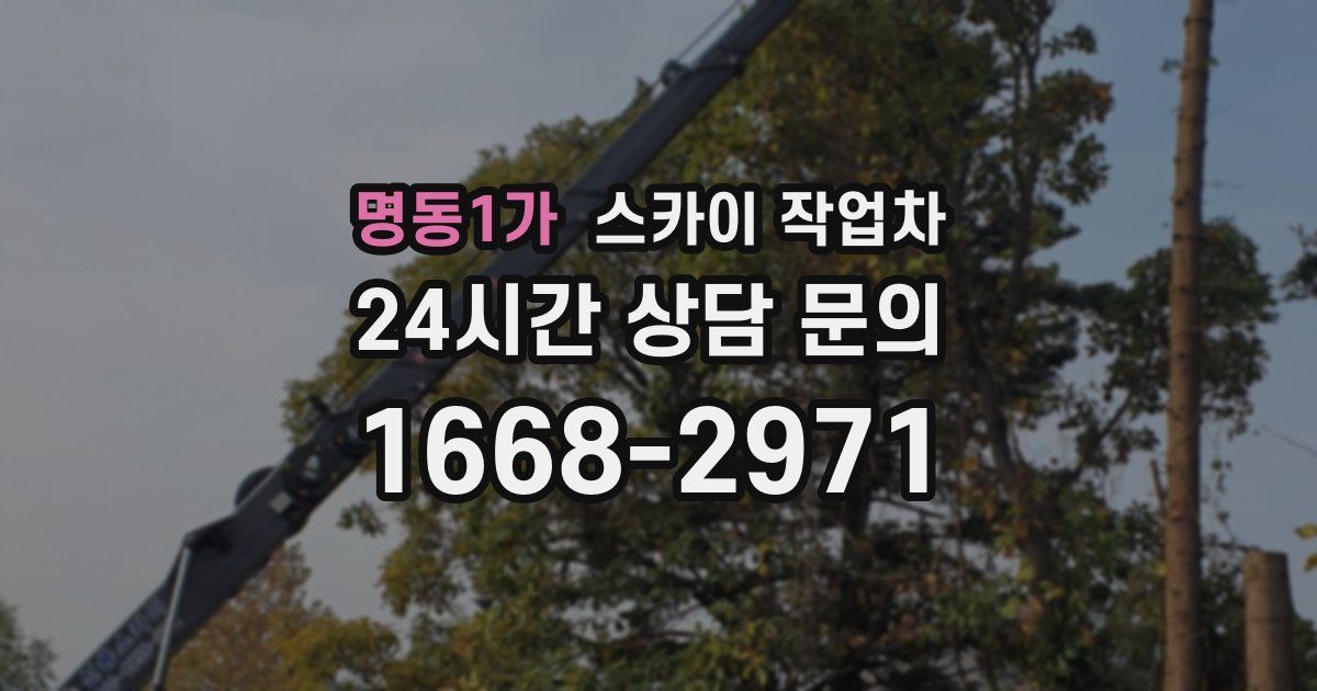 명동1가 스카이 작업차