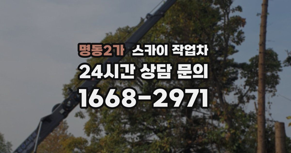 명동2가 스카이 작업차