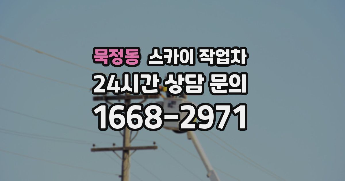 묵정동 스카이 작업차