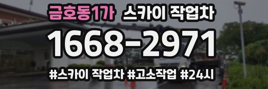 금호동1가 스카이 작업차