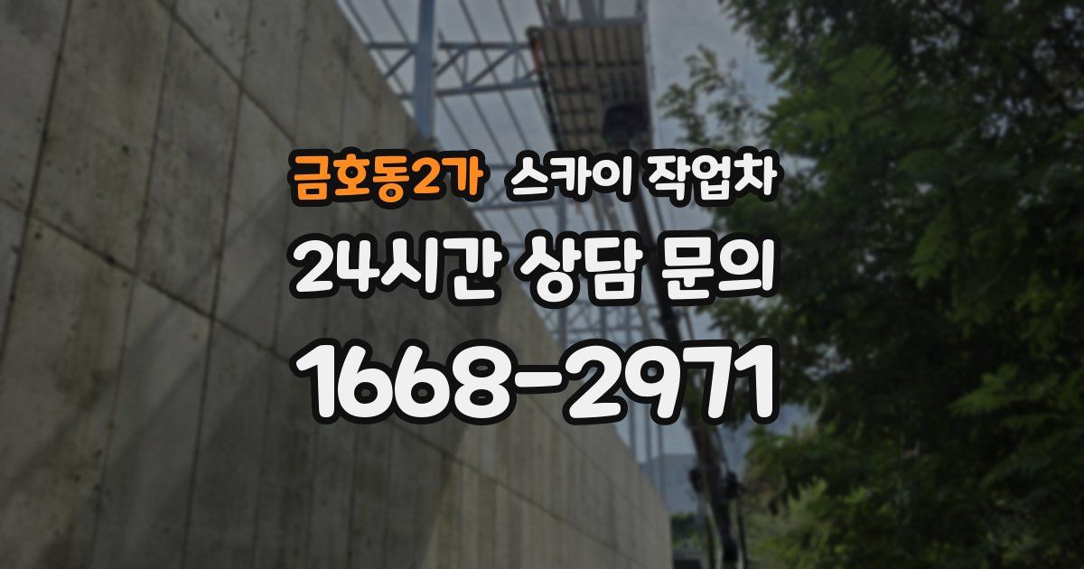 금호동2가 스카이 작업차