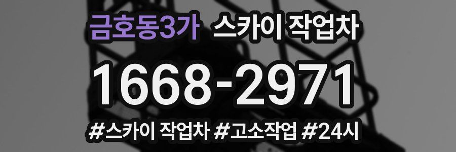 금호동3가 스카이 작업차