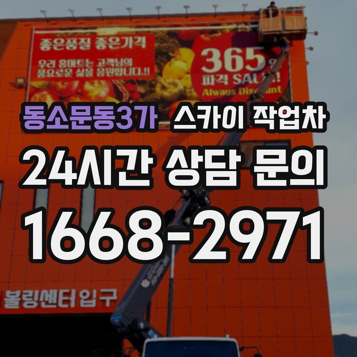 동소문동3가 스카이 작업차 가로수 가지치기 작업 안전하게