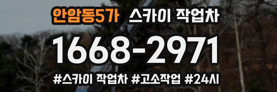 안암동5가 스카이 작업차