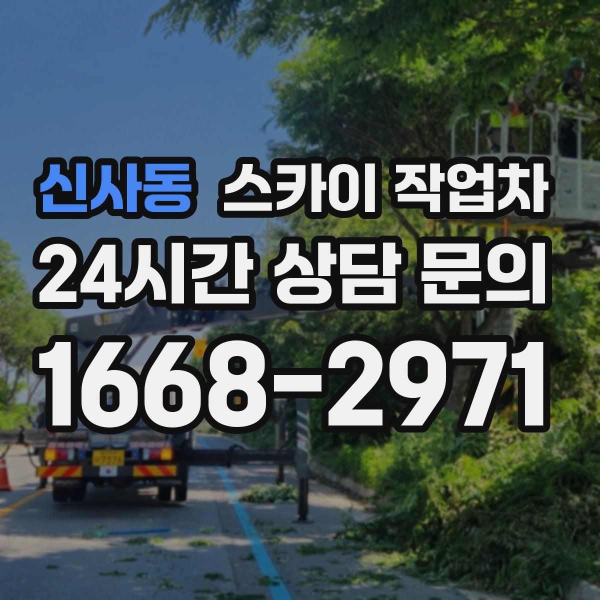 신사동 스카이 작업차