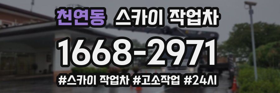 천연동 스카이 작업차