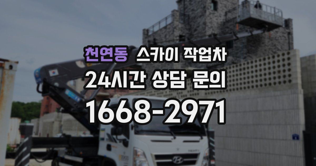 천연동 스카이 작업차