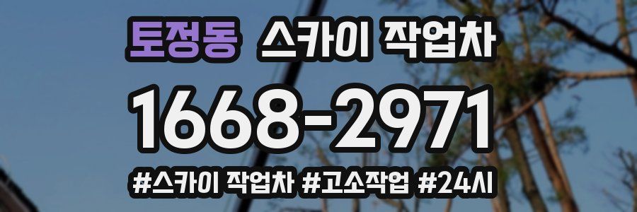 토정동 스카이 작업차