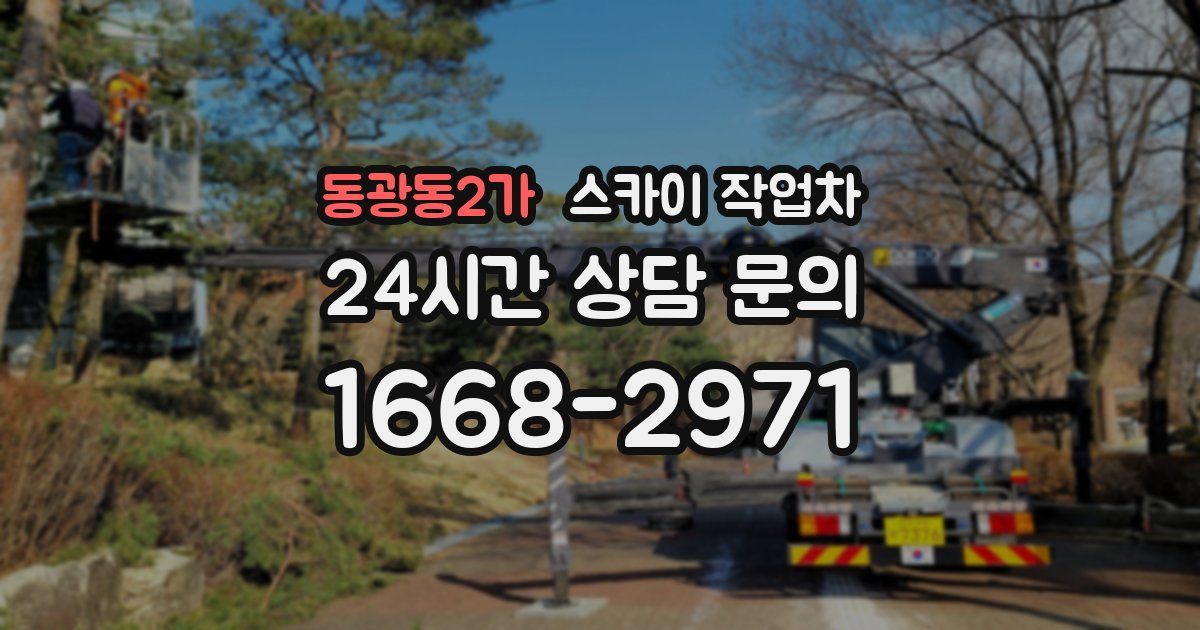동광동2가 스카이 작업차