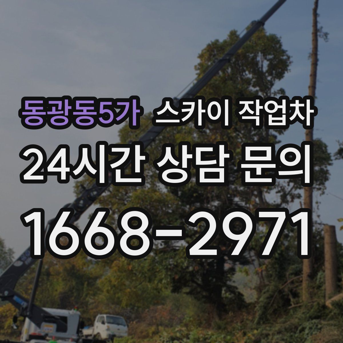 동광동5가 스카이 작업차