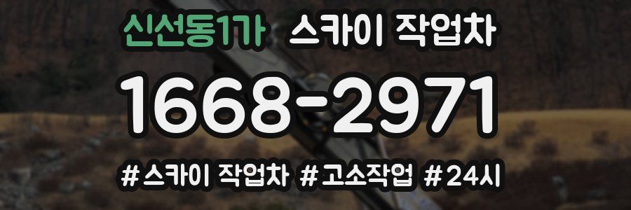 신선동1가 스카이 작업차