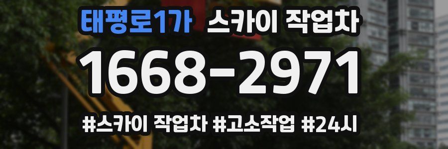 태평로1가 스카이 작업차