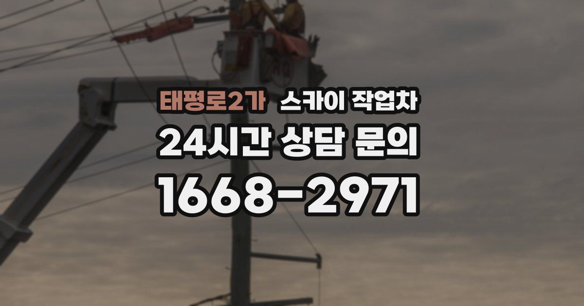 태평로2가 스카이 작업차