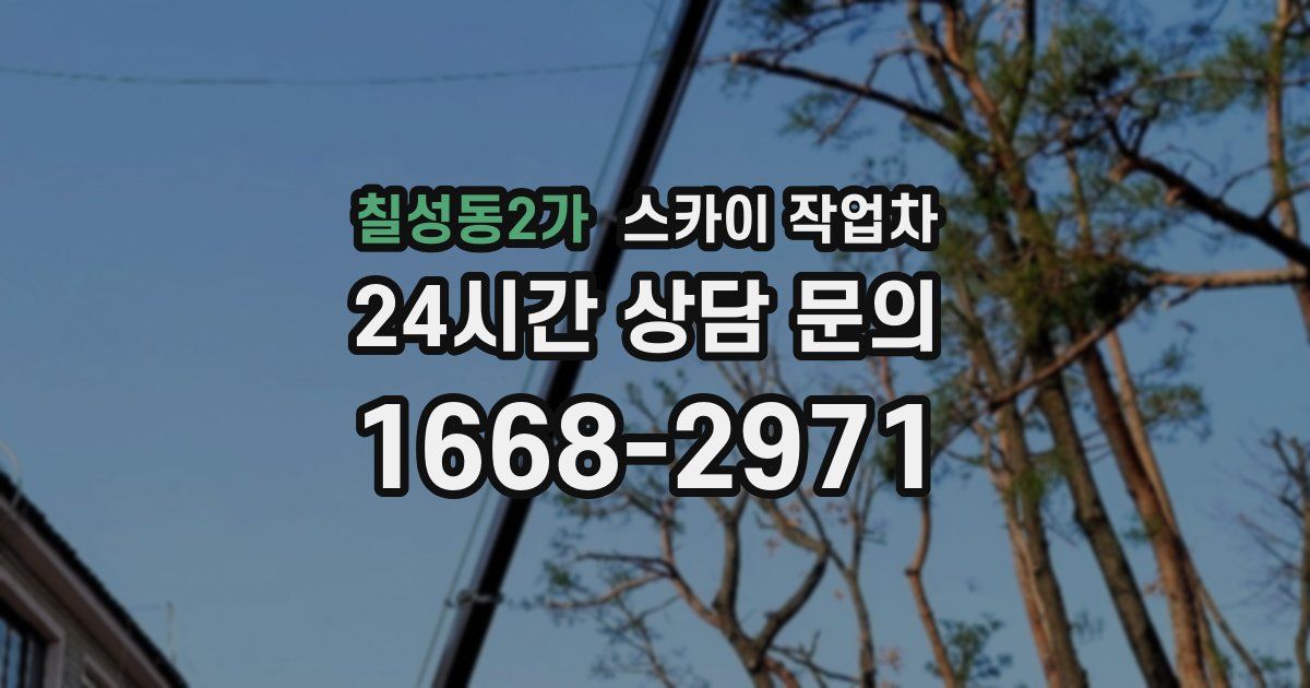 칠성동2가 스카이 작업차