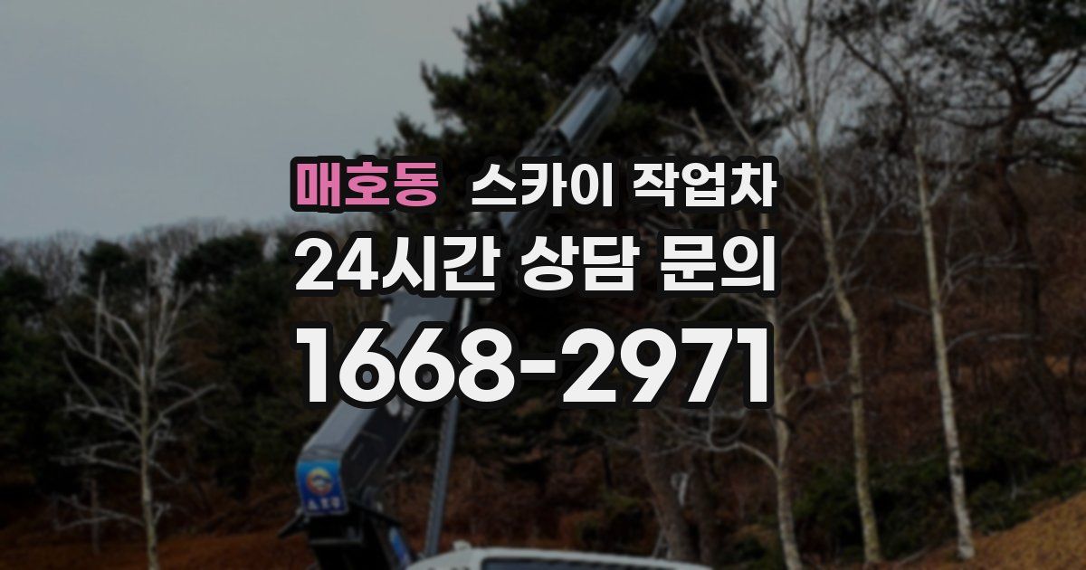 매호동 스카이 작업차