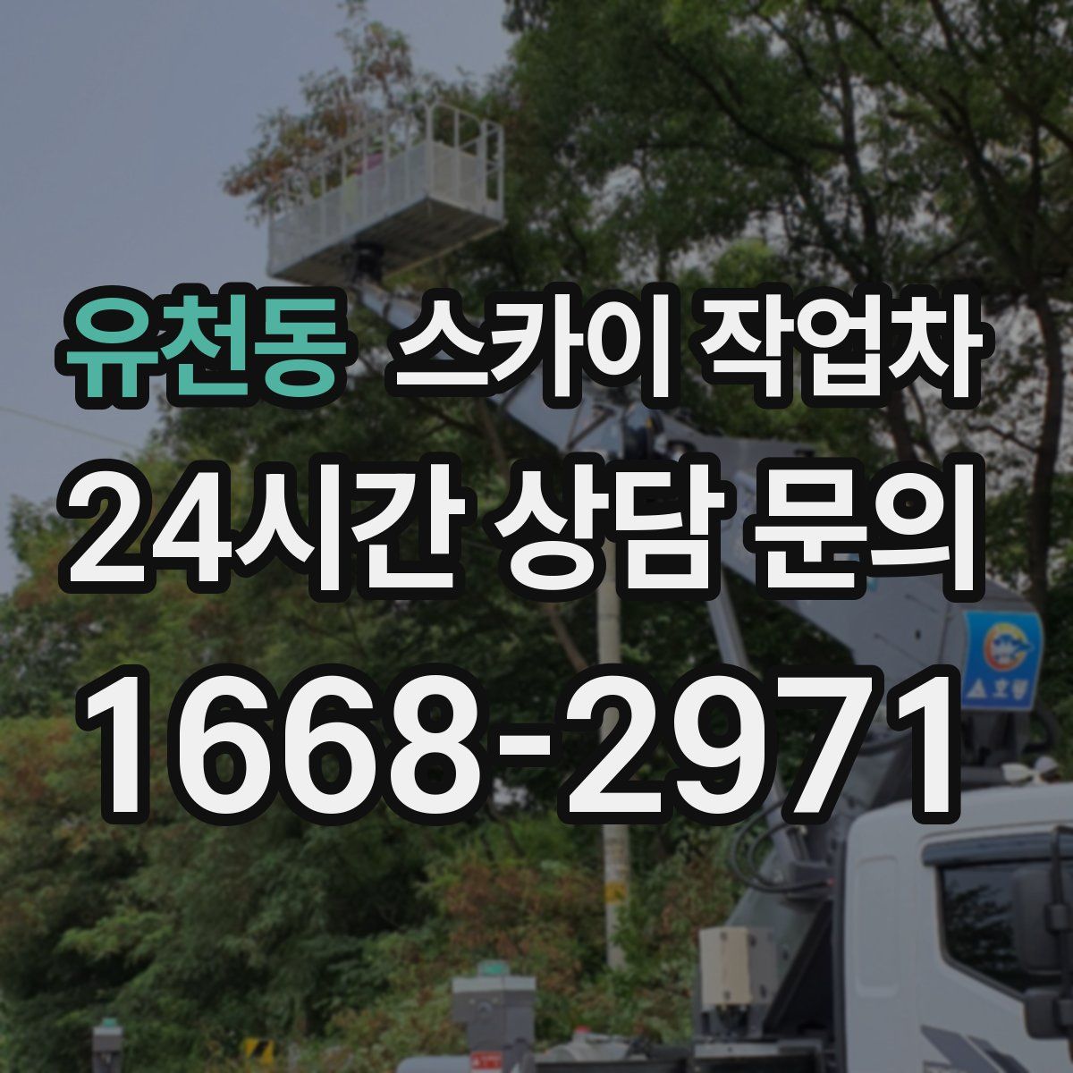 유천동 스카이 작업차