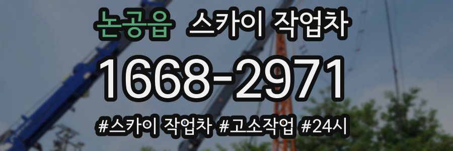 논공읍 스카이 작업차