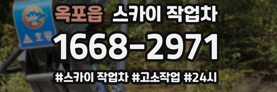 옥포읍 스카이 작업차