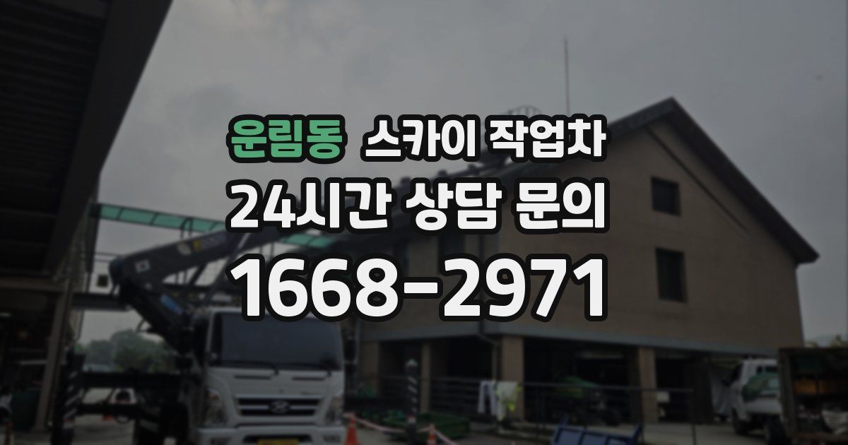 운림동 스카이 작업차