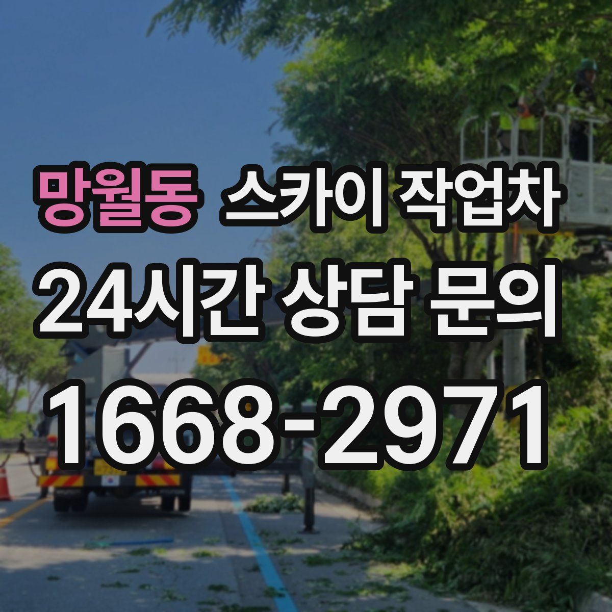 망월동 스카이 작업차