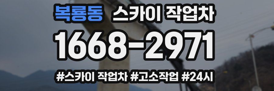 복룡동 스카이 작업차