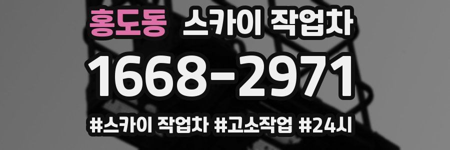 홍도동 스카이 작업차