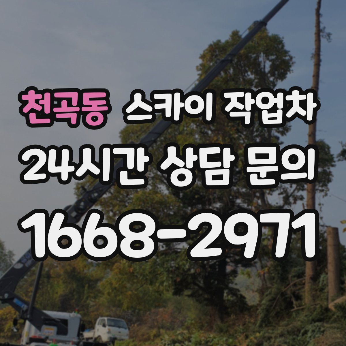 천곡동 스카이 작업차