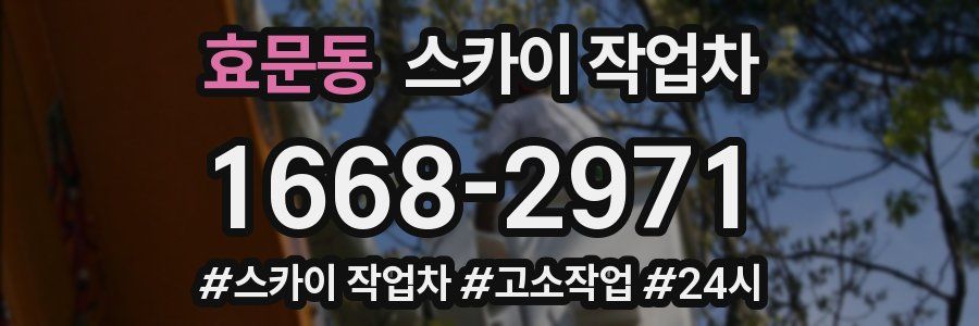 효문동 스카이 작업차