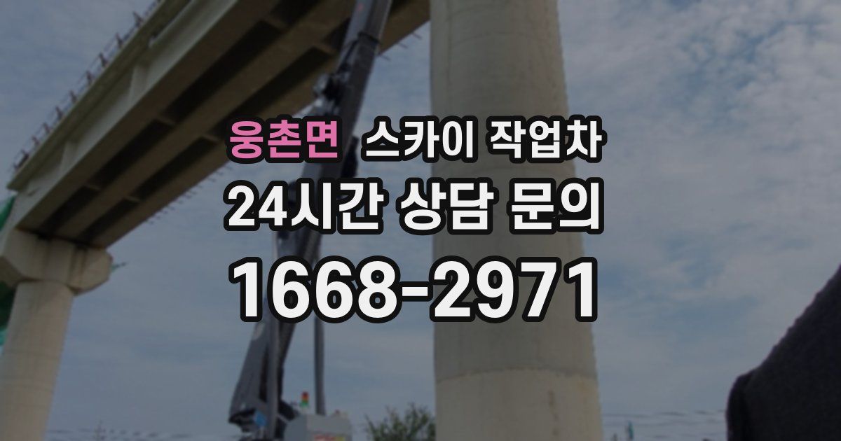 웅촌면 스카이 작업차