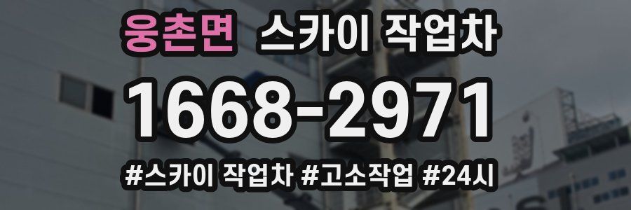 웅촌면 스카이 작업차