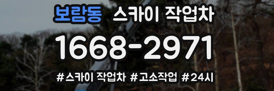 보람동 스카이 작업차