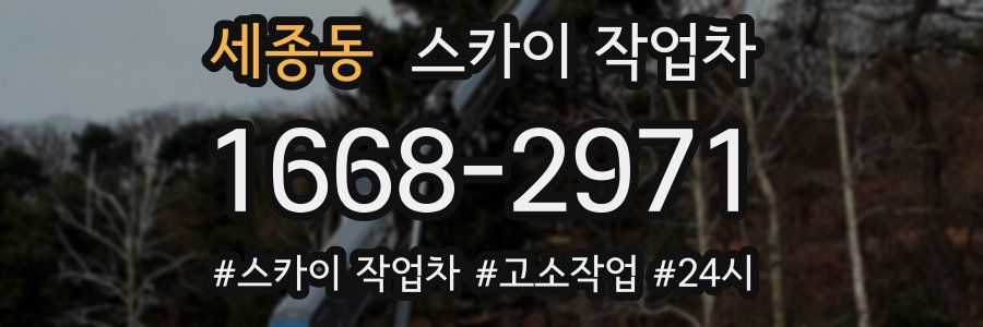 세종동 스카이 작업차