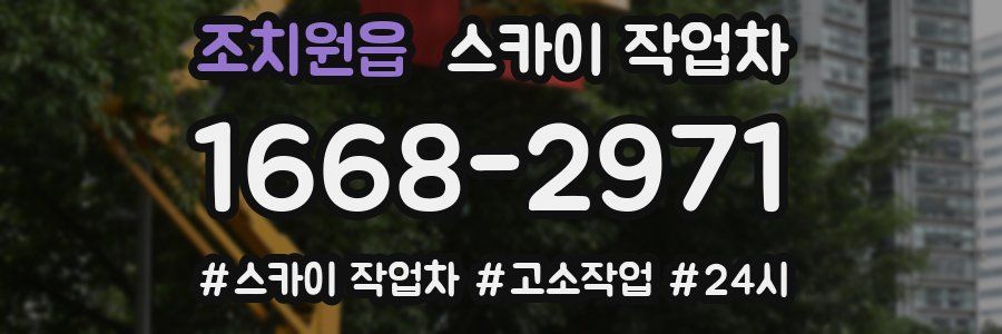 조치원읍 스카이 작업차