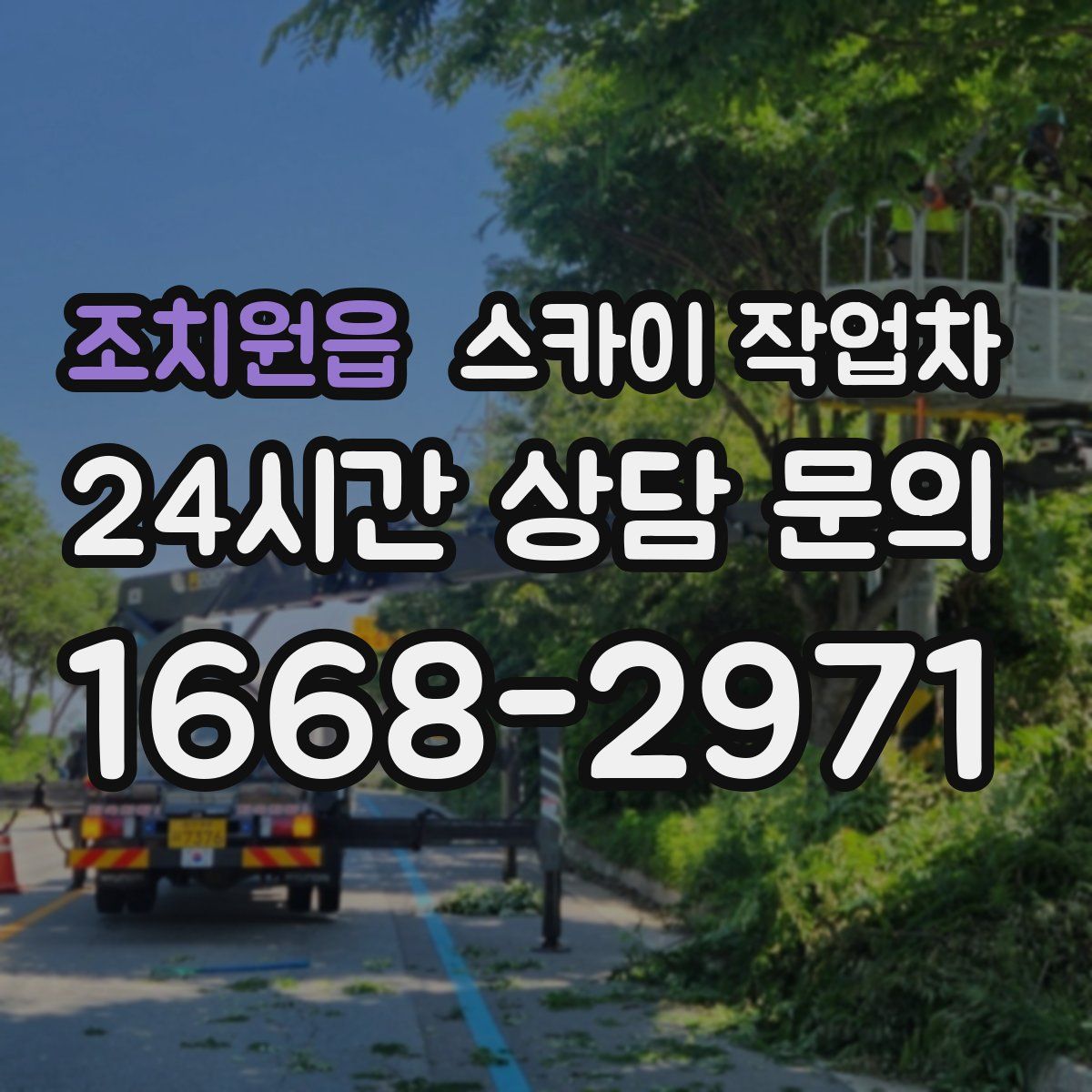 조치원읍 스카이 작업차