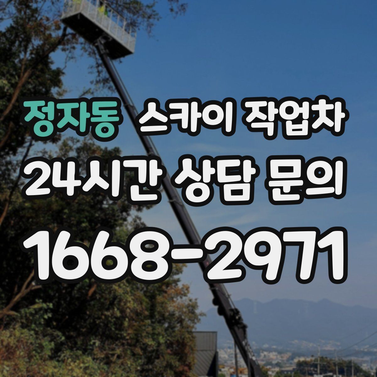 정자동 스카이 작업차 나무 가지 전정 작업에 활용하는 방법