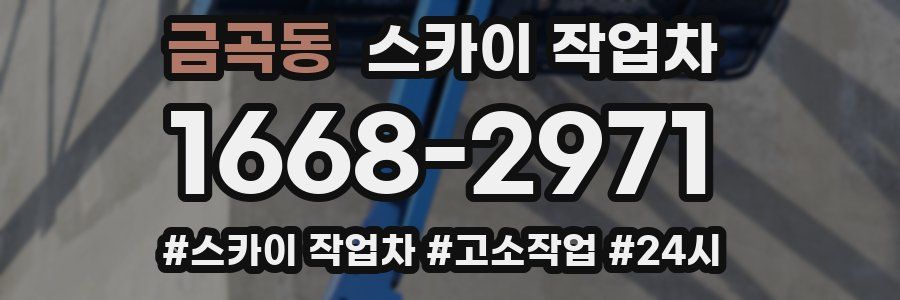 금곡동 스카이 작업차