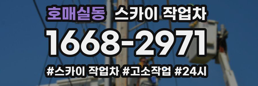 호매실동 스카이 작업차