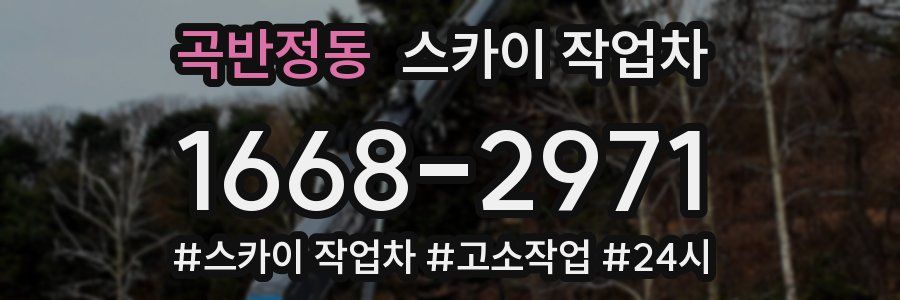 곡반정동 스카이 작업차