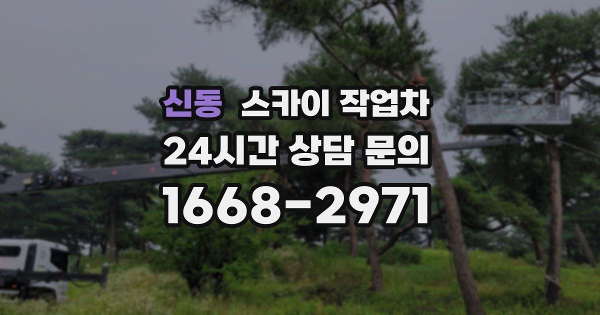 신동 스카이 작업차