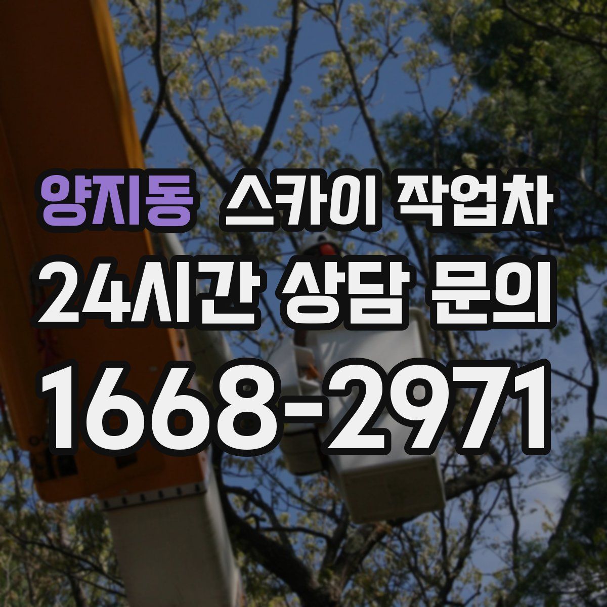 양지동 스카이 작업차