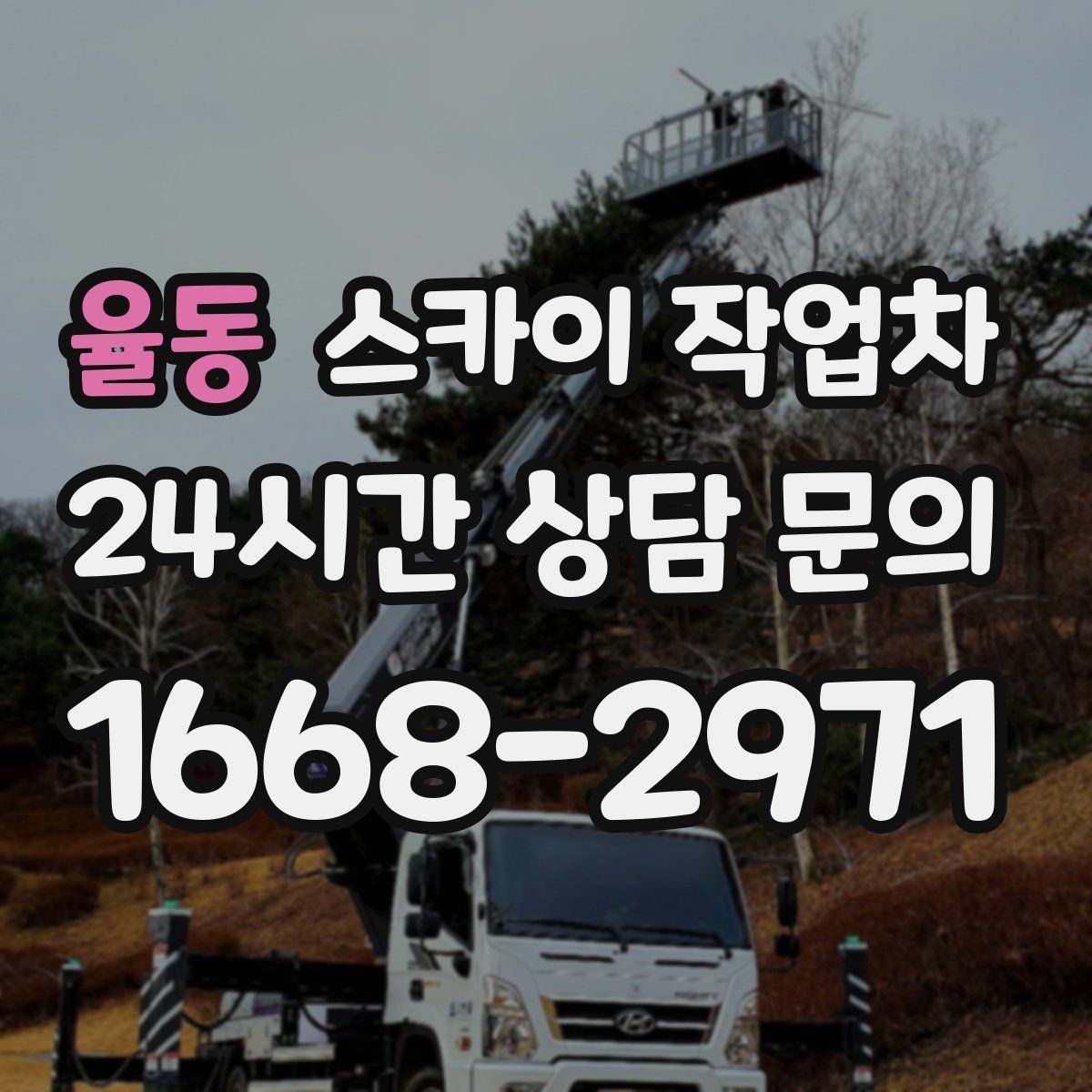 율동 스카이 작업차