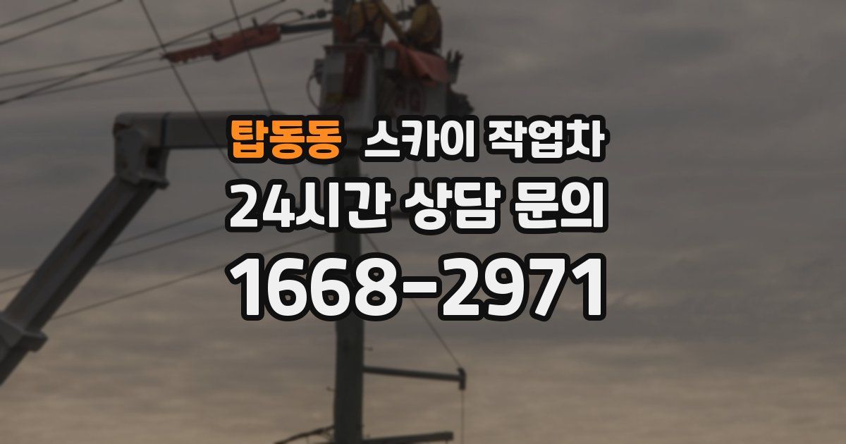 탑동동 스카이 작업차