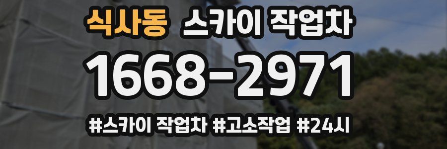 식사동 스카이 작업차