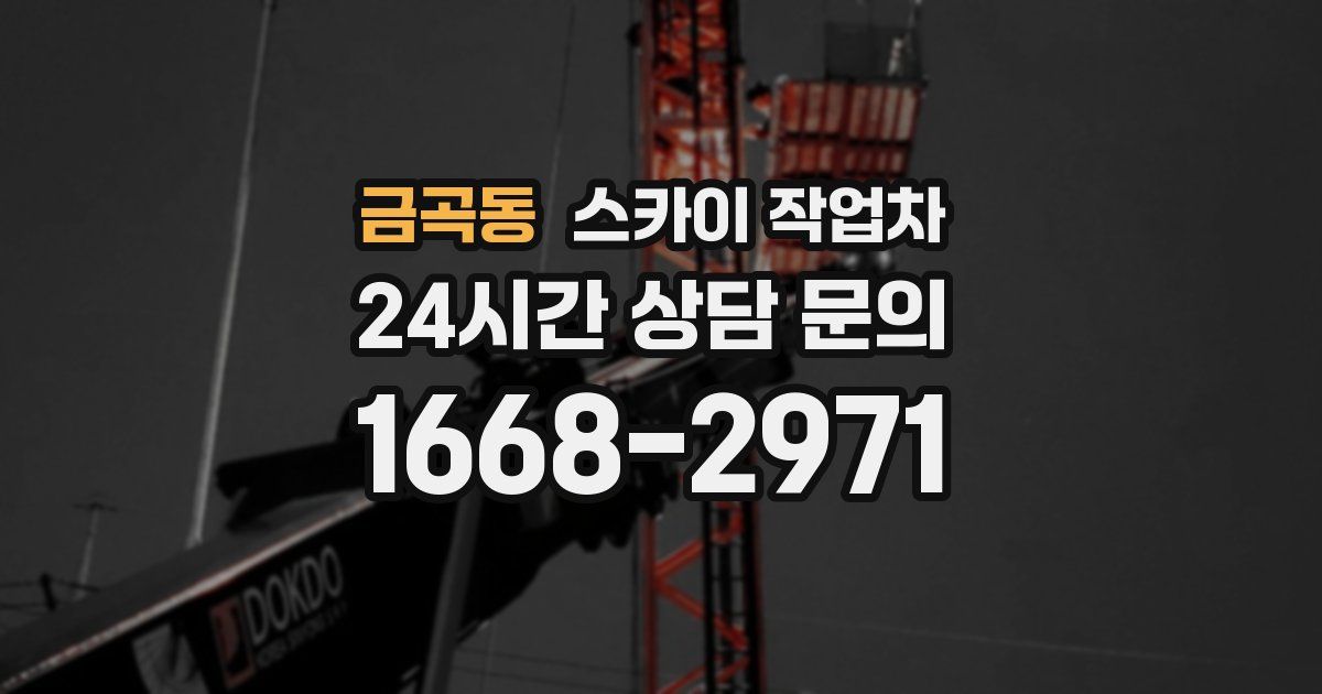 금곡동 스카이 작업차