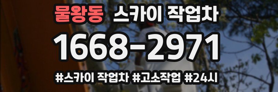 물왕동 스카이 작업차