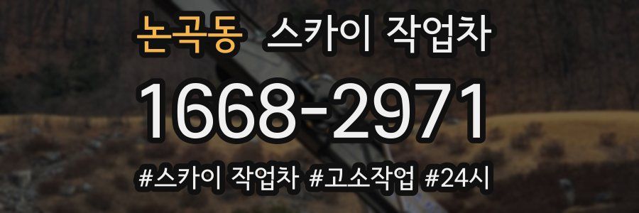 논곡동 스카이 작업차