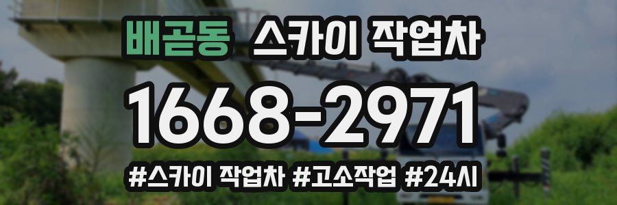 배곧동 스카이 작업차